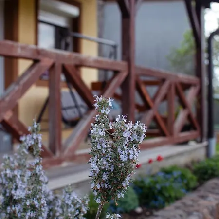 Oaza Mira Апартаменты *