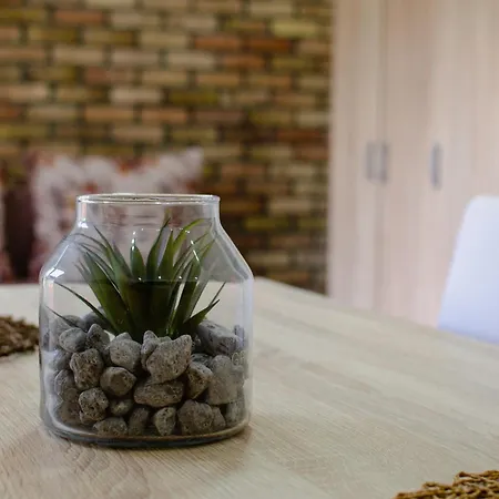 Oaza Mira Врдник