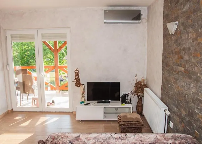 Oaza Mira アパート ヴルドニーク