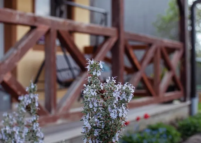 Oaza Mira アパート *