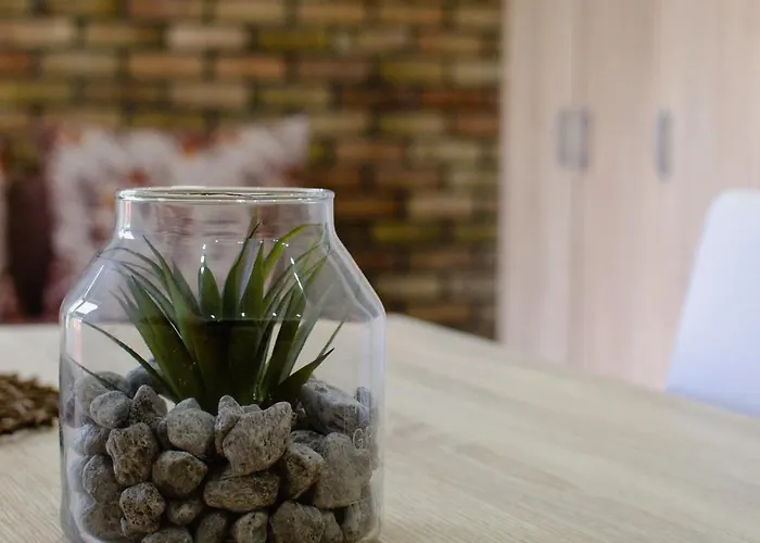 Oaza Mira ヴルドニーク